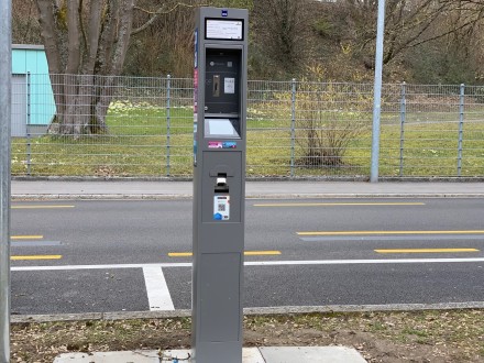 Parkuhrenpilz