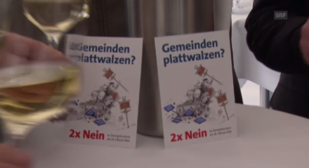 SRFAnstossenStrukturreform