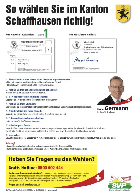 mobilisierungsflyer sh