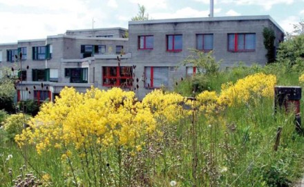 schulhausgraeflerschaffhausen